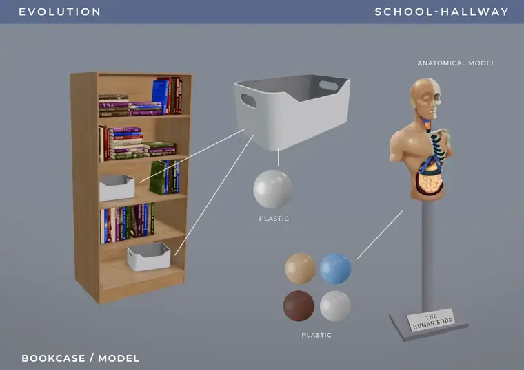 Evolution, colegio, estantería, desglose